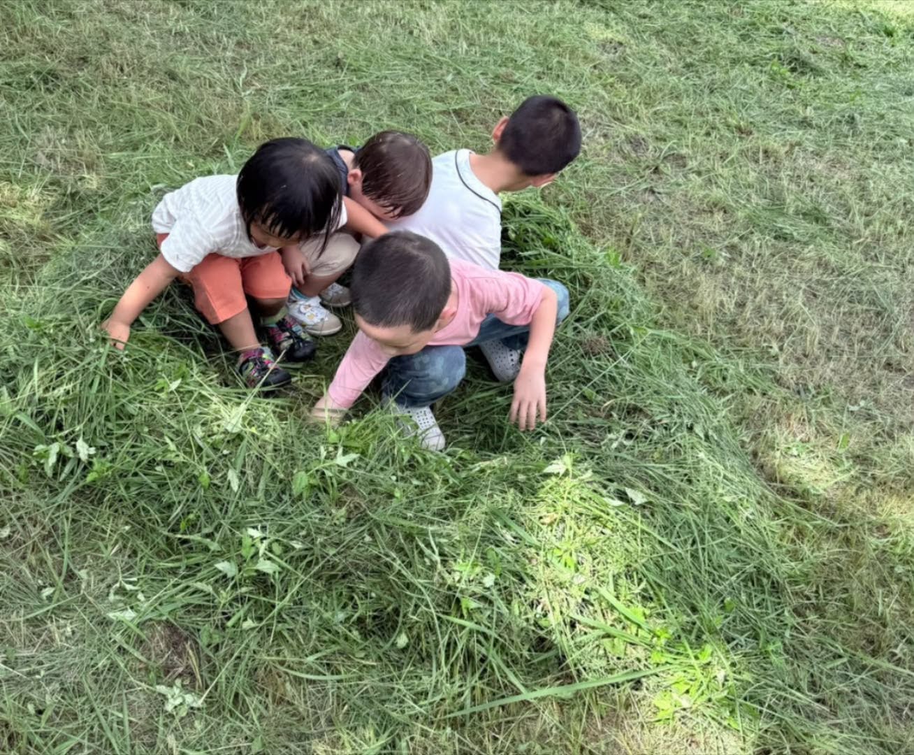 四位孩子在草地上靠近彼此，蹲下、坐下，用雙手探索身邊的草葉