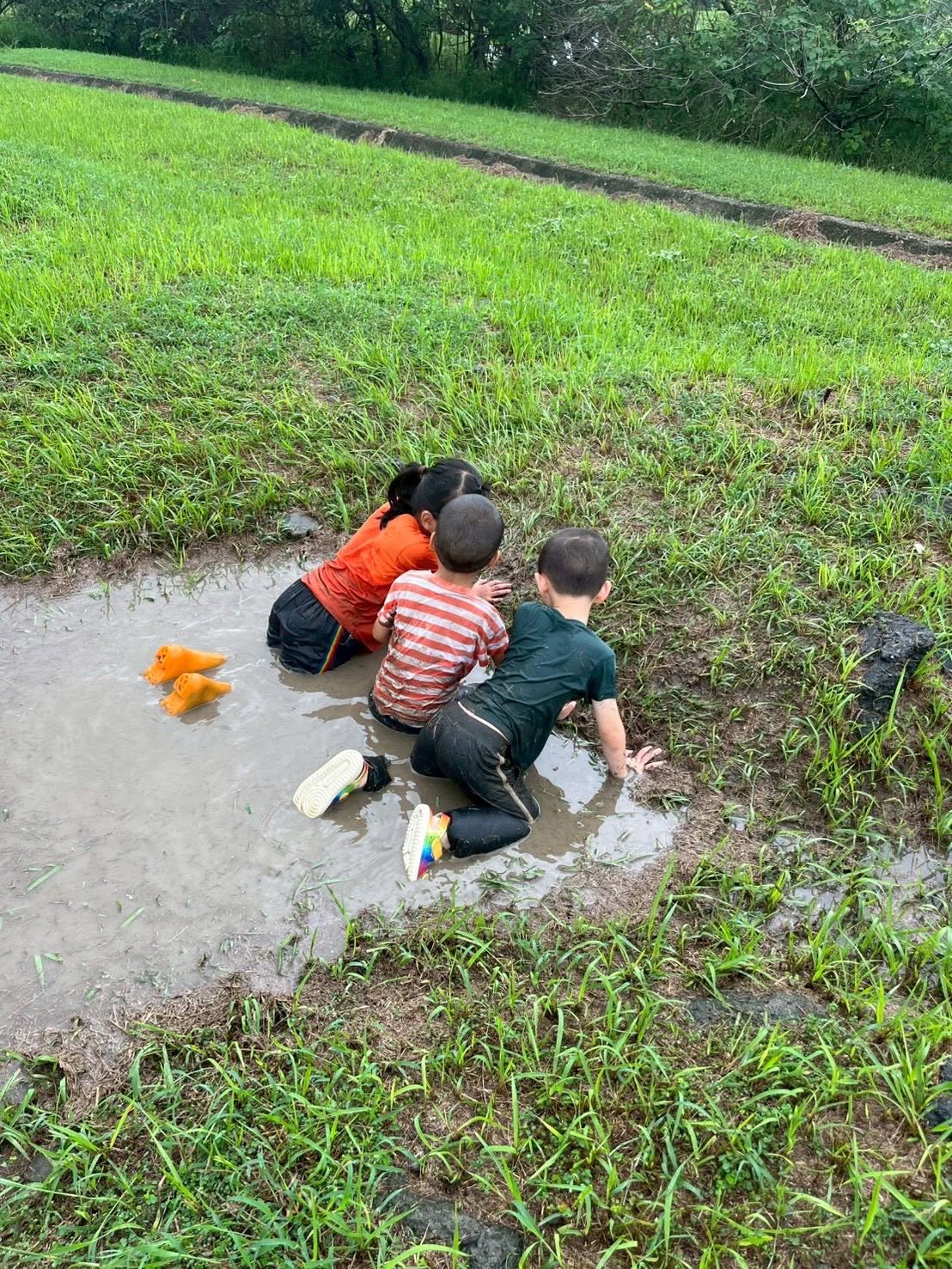 三位孩子在草地邊的泥水中蹲坐，伸手探索泥土與水的觸感